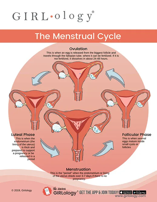 Boys and menstruation